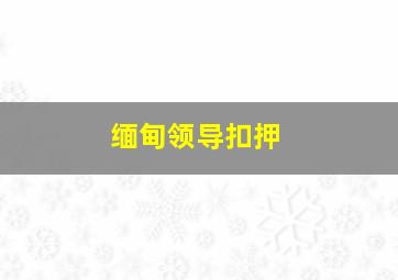 缅甸领导扣押