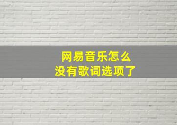 网易音乐怎么没有歌词选项了