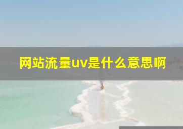 网站流量uv是什么意思啊