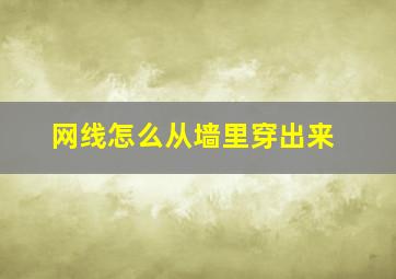 网线怎么从墙里穿出来