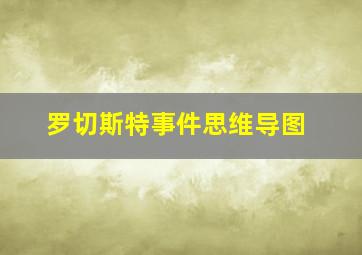 罗切斯特事件思维导图