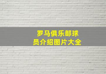 罗马俱乐部球员介绍图片大全