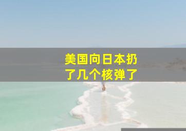 美国向日本扔了几个核弹了