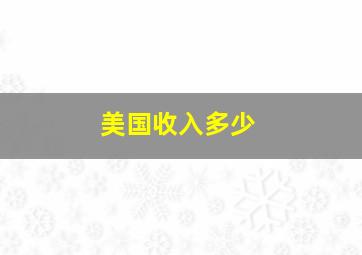 美国收入多少