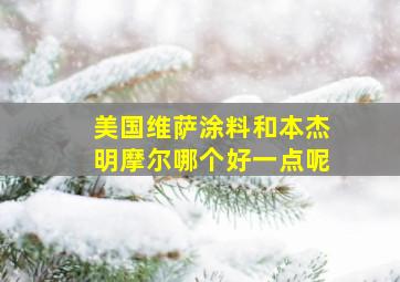 美国维萨涂料和本杰明摩尔哪个好一点呢