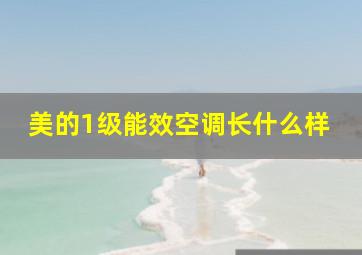 美的1级能效空调长什么样