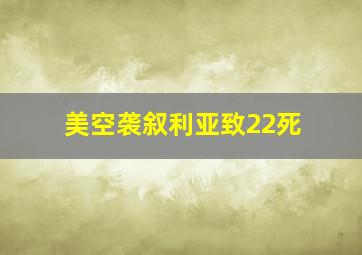 美空袭叙利亚致22死