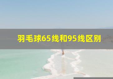 羽毛球65线和95线区别