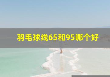 羽毛球线65和95哪个好