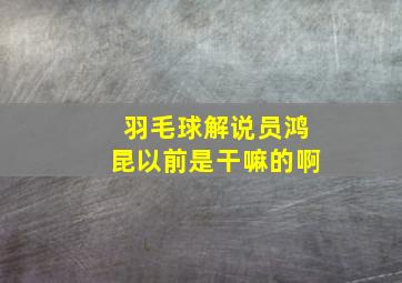 羽毛球解说员鸿昆以前是干嘛的啊