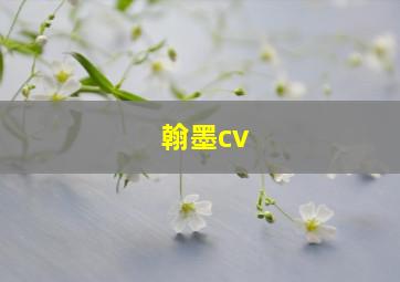 翰墨cv