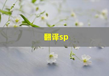 翻译sp