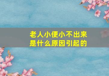 老人小便小不出来是什么原因引起的