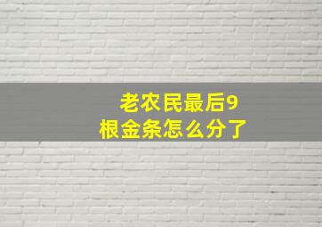 老农民最后9根金条怎么分了