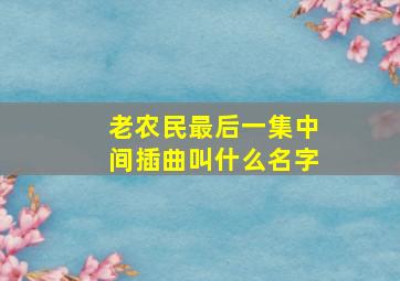 老农民最后一集中间插曲叫什么名字