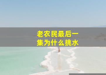 老农民最后一集为什么挑水