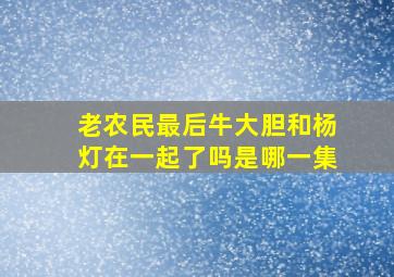 老农民最后牛大胆和杨灯在一起了吗是哪一集