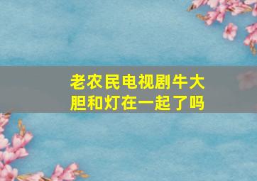 老农民电视剧牛大胆和灯在一起了吗