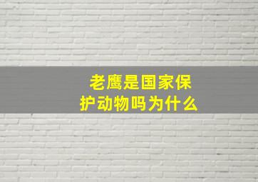 老鹰是国家保护动物吗为什么