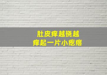 肚皮痒越挠越痒起一片小疙瘩