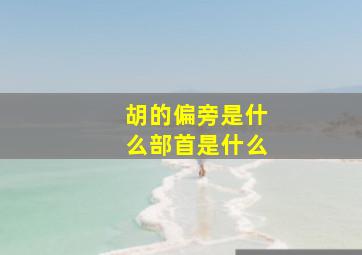 胡的偏旁是什么部首是什么