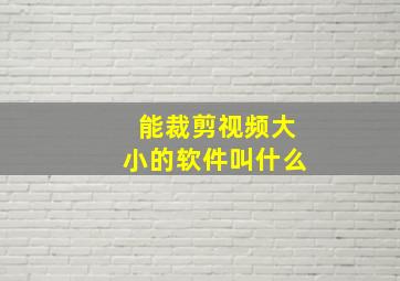 能裁剪视频大小的软件叫什么