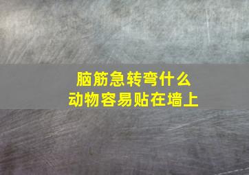 脑筋急转弯什么动物容易贴在墙上