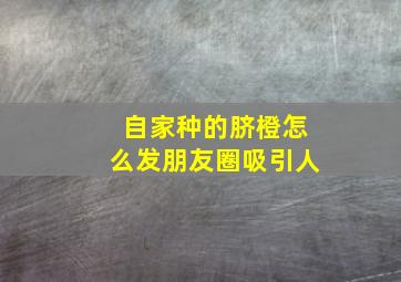 自家种的脐橙怎么发朋友圈吸引人