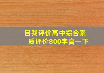 自我评价高中综合素质评价800字高一下