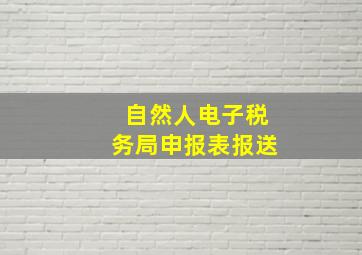 自然人电子税务局申报表报送