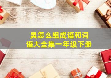 臭怎么组成语和词语大全集一年级下册