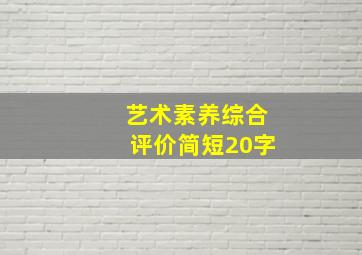 艺术素养综合评价简短20字