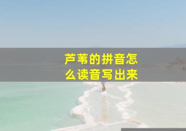 芦苇的拼音怎么读音写出来