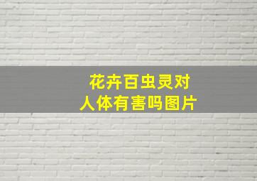 花卉百虫灵对人体有害吗图片