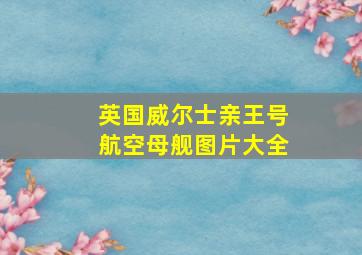 英国威尔士亲王号航空母舰图片大全