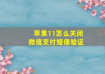 苹果11怎么关闭微信支付短信验证