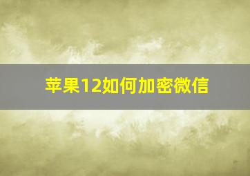 苹果12如何加密微信