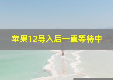 苹果12导入后一直等待中