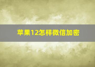 苹果12怎样微信加密