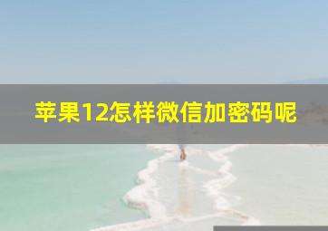 苹果12怎样微信加密码呢