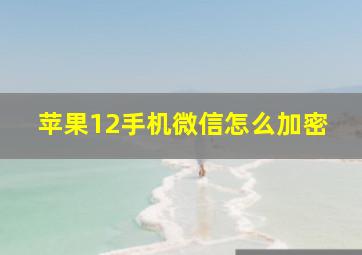 苹果12手机微信怎么加密