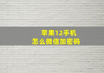 苹果12手机怎么微信加密码