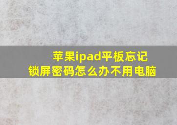 苹果ipad平板忘记锁屏密码怎么办不用电脑