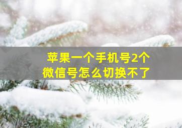 苹果一个手机号2个微信号怎么切换不了