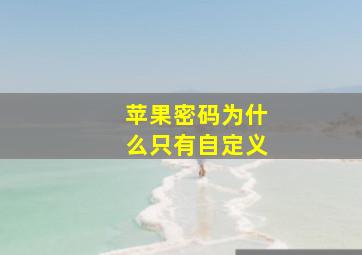 苹果密码为什么只有自定义