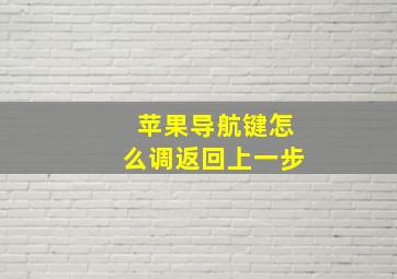 苹果导航键怎么调返回上一步