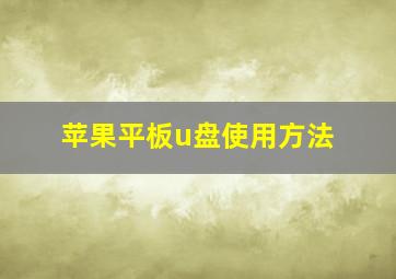 苹果平板u盘使用方法