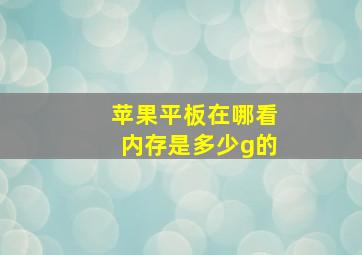 苹果平板在哪看内存是多少g的