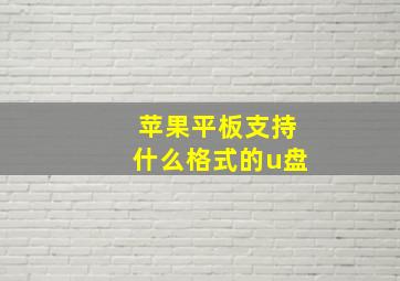 苹果平板支持什么格式的u盘