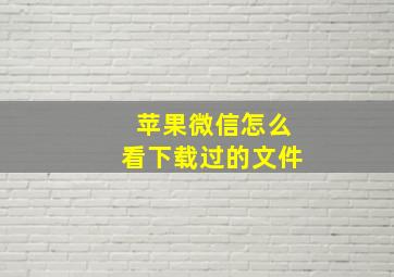 苹果微信怎么看下载过的文件